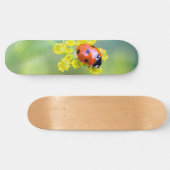 dame bovenop skateboard (Horizontaal)
