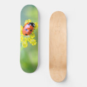 dame bovenop skateboard (Voorkant)