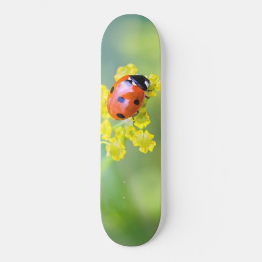 dame bovenop skateboard (Voorkant)