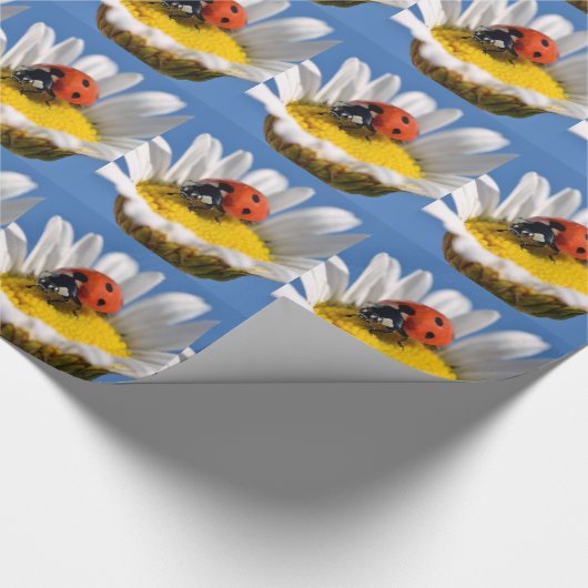 Dame bug in madeliefje cadeaupapier (Hoek)