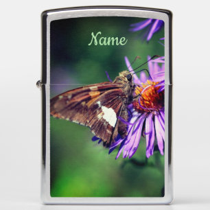 Dame Butterfly Aster Flower Personated