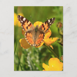 Dame Butterfly Briefkaart