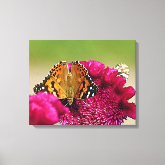 Dame Butterfly Canvas Afdruk (Voorkant)