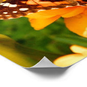 Dame Butterfly Foto Poster (Hoek)