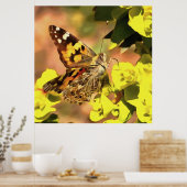 Dame Butterfly, geverfd op Myrtle Spurge Poster (Keuken)