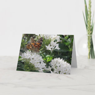 Dame Butterfly Kaart