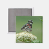 Dame Butterfly Magneet (Voorkant / Achterkant)