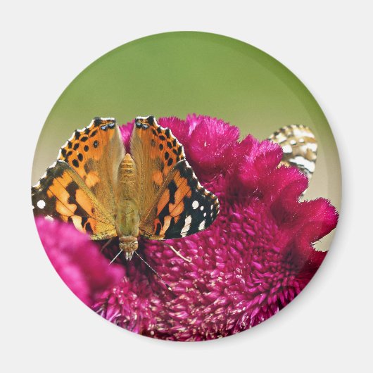 Dame Butterfly Magneet (Voorkant)