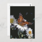 Dame Butterfly op het Briefkaart van Daisy (Voorkant / Achterkant)