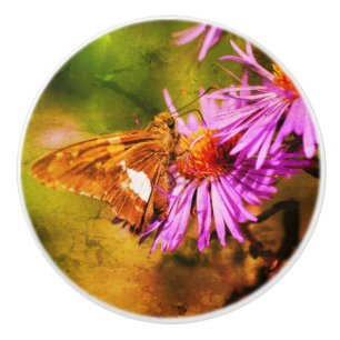 Dame Butterfly Wild Aster Flower Abstract Keramische Knop