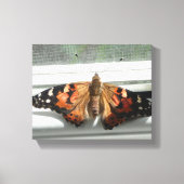 Dame Butterfly Wrapped Canvas (Voorkant)