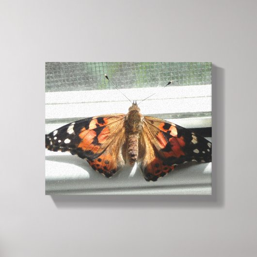 Dame Butterfly Wrapped Canvas Afdruk (Voorkant)