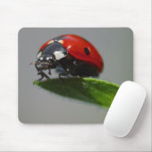 Dame, maar aan de rand van leder muismat (Met muis)