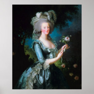  dame Marie Antoinette met roze roze roze roze roz Poster