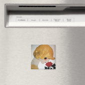 DAME MET RODE ROOS MAGNEET (Insitu (Vaatwasser))