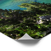 Dame met schildpad op het Boven-meer - John Muir T Poster (Hoek)