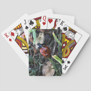Dame Pokerkaarten