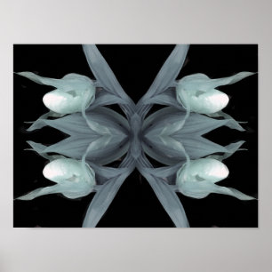 Dame slipper orchid - Afdruk Poster