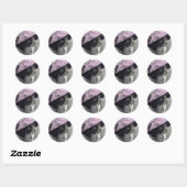 dame sticker (Vel)