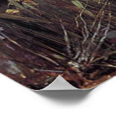 Dame van Shalott Canvas Print (Hoek)