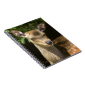 Damefallnotebook Notitieboek (Rechterzijde)