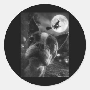 Dames Boston Terrier Selfie Volle Maan Vliegend Ronde Sticker