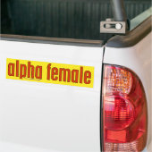 Dames Bumpersticker (Op Truck)