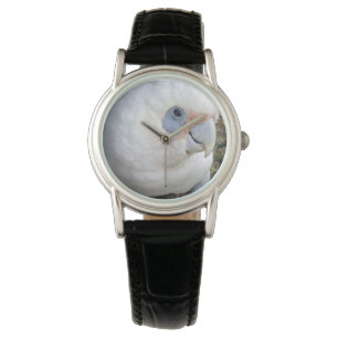 Dames Cheeky White Cockato, lederen polshorloge Horloge