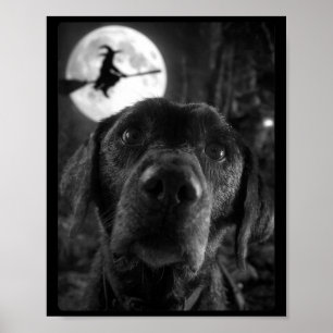 Dames Grappige Labrador Selfie Volle Maan Vliegend Poster