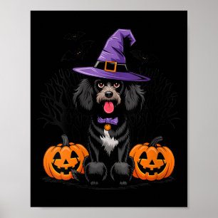 Dames Halloween Hekserige Zwarte Standaard Poodle Poster
