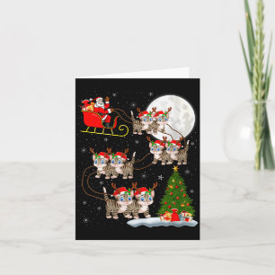 Dames Katten Kerstman Slede Vliegend Grappig Magis Kaart