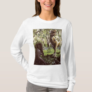 Dames lange mouw t-shirt