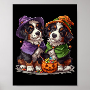 Dames Mooie Berner Sennenhonden Heks Pompoen Poster