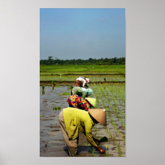 Dames op het werk poster