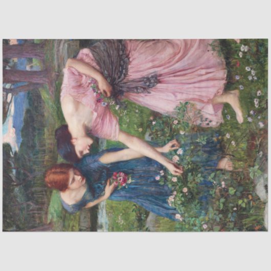 Dames Rozen, John William Waterhouse Tissuepapier (Voorkant)