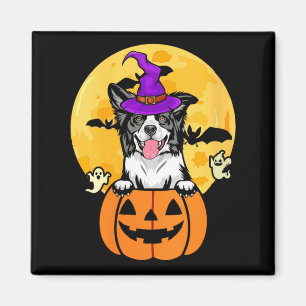 Dames Zwarte En Witte Border Collie Heks Hond Magneet