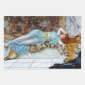 damesontkoppelingspapier inpakpapier vel (Voorkant)