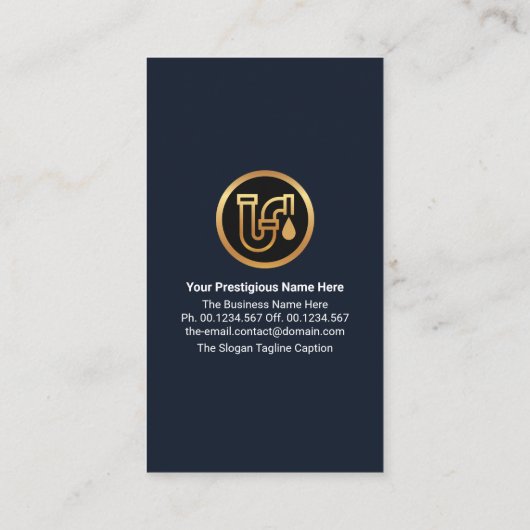 Damp Walls Water Seepage Home Plug Service Visitekaartje (Achterkant)