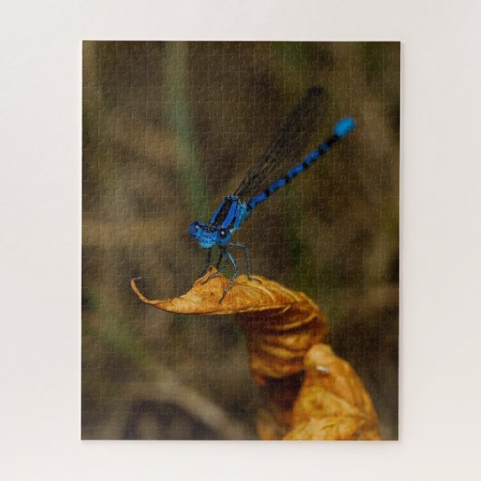 Damsel Fly Jigsaw Puzzle (Vertical)