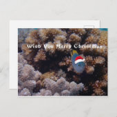 Damselfish Briefkaart (Voorkant / Achterkant)