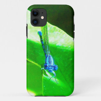 Damselfly iPhone 11 Hoesje