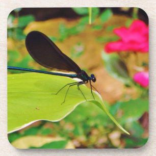 Damselfly en Roos Drankjes Onderzetter