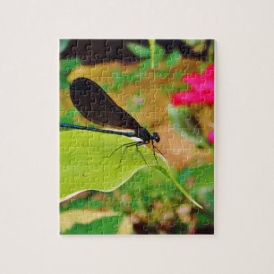 Damselfly en Roos Legpuzzel