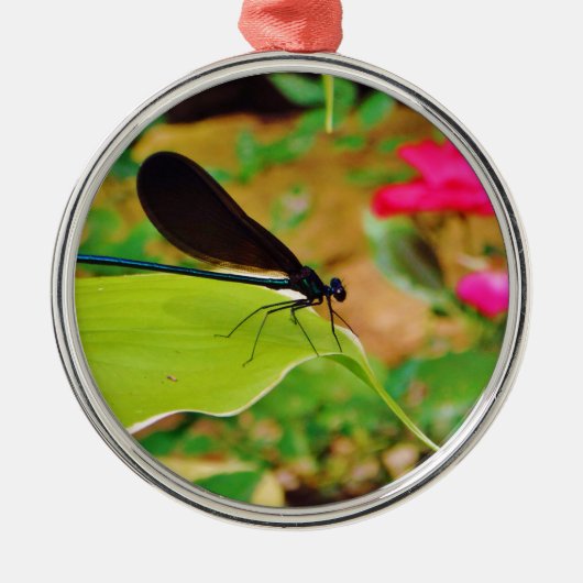 Damselfly en Roos Metalen Ornament (Voorkant)