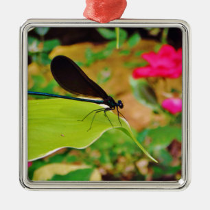 Damselfly en Roos Metalen Ornament