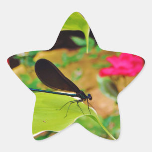 Damselfly en Roos Ster Sticker