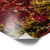 "Dan is alles goed" Foto Afdruk (Hoek)