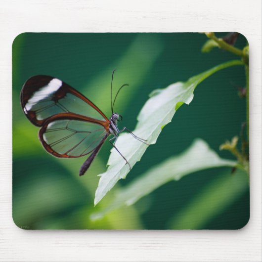 Dana Mousepad Muismat (Voorkant)