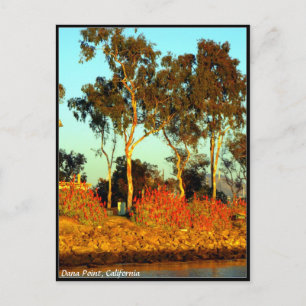 Dana Point Briefkaart