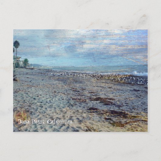 Dana Point, Californië Briefkaart (Voorkant)